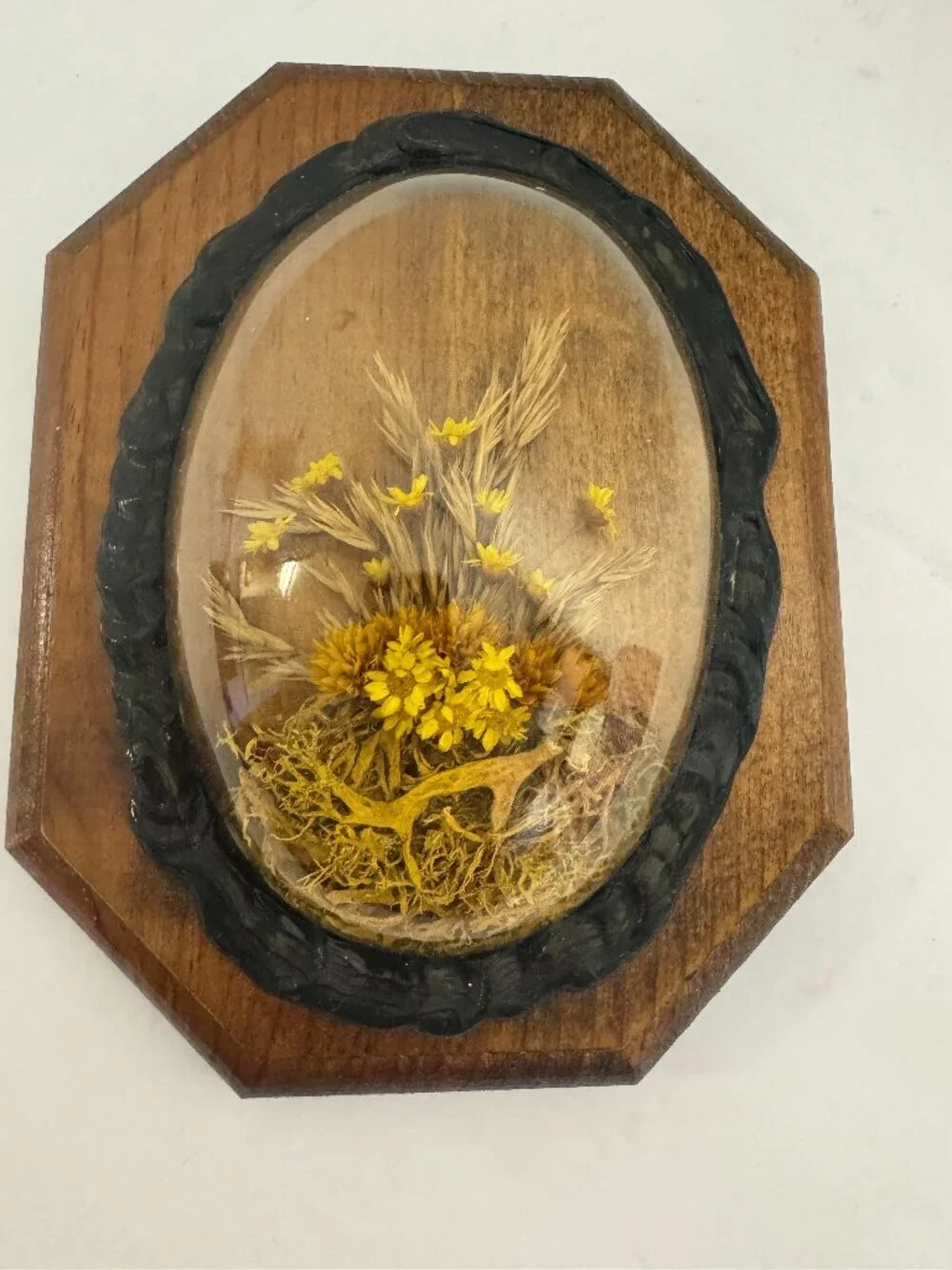 Vintage Dried Flowers Wall Hanging Art Convex Bubble Glass Wood Plaque.
